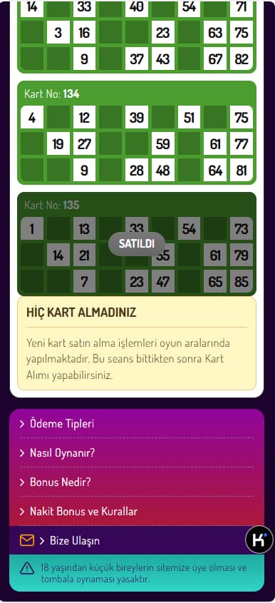 【首发】土耳其维加斯宾果游戏系统源码/后台可控/老虎机源码多种游戏-970kk